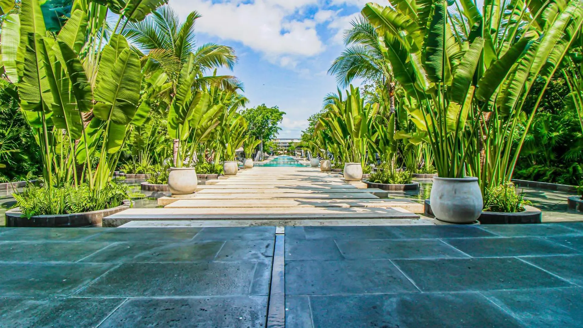 דירות פלאייה דל כרמן Lush Escape At Awa Playacar